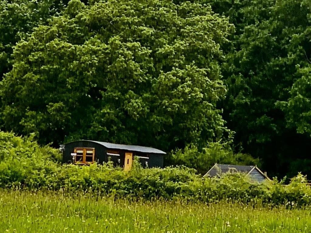Shepherds Hut With Scandinavian Hot Tub And Hydromassager Sway 外观 照片